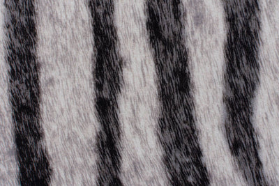 Tapis effet peau de Zebre