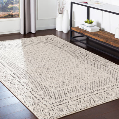 Tapis Scandinave Bohème Gris/Beige Monaco