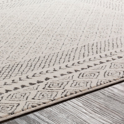 Tapis Scandinave Bohème Gris/Beige Monaco