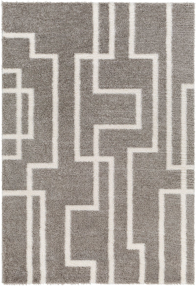 Tapis Shaggy Moderne Gris/Blanc Bragga