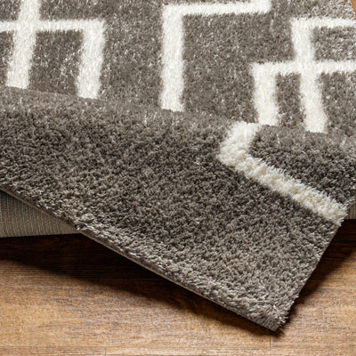 Tapis Shaggy Moderne Gris/Blanc Bragga