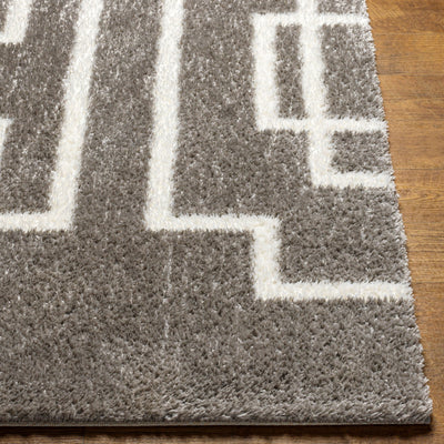 Tapis Shaggy Moderne Gris/Blanc Bragga
