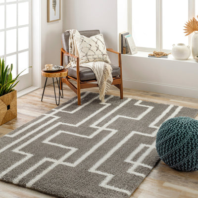 Tapis Shaggy Moderne Gris/Blanc Bragga