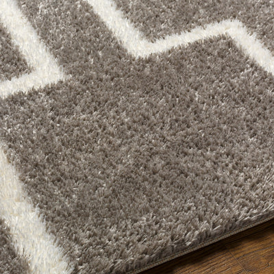 Tapis Shaggy Moderne Gris/Blanc Bragga