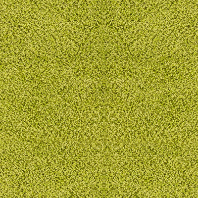 Tapis Shaggy Moderne Vert Boracay