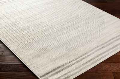 Tapis Scandinave Moderne Ivoire/Gris Santiago