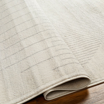 Tapis Scandinave Moderne Ivoire/Gris Santiago