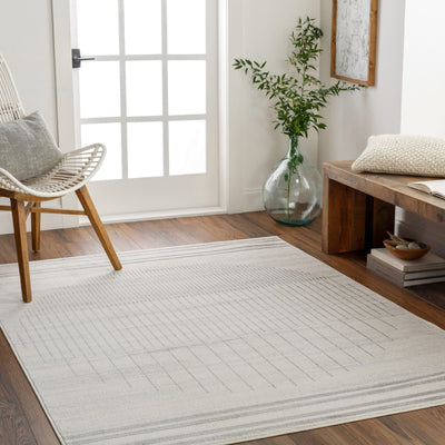 Tapis Scandinave Moderne Ivoire/Gris Santiago