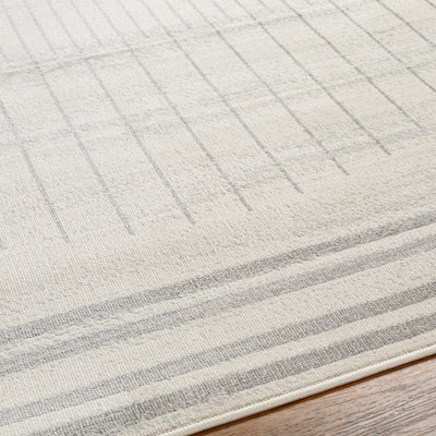 Tapis Scandinave Moderne Ivoire/Gris Santiago