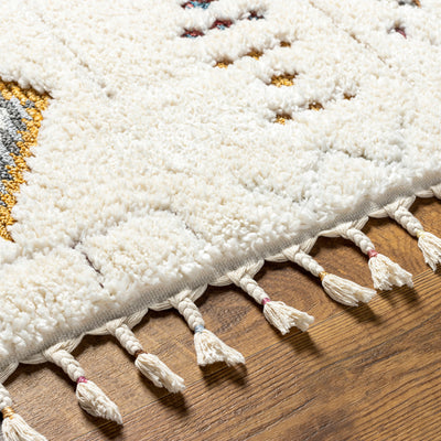 Tapis Shaggy Bohème Multicolore/Blanc Maracaibo