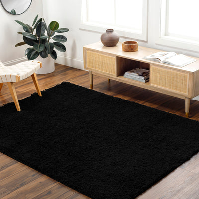 Tapis Shaggy Moderne Noir Dadu