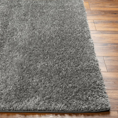 Tapis Shaggy Moderne Gris Foncé Dadu
