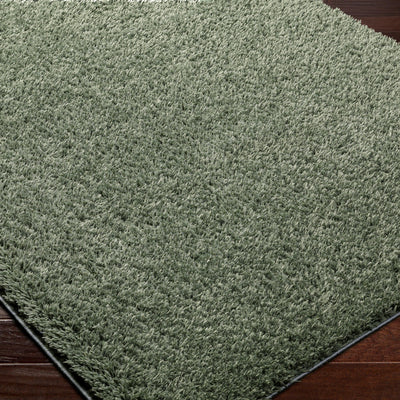 Tapis Shaggy Moderne Vert Dadu