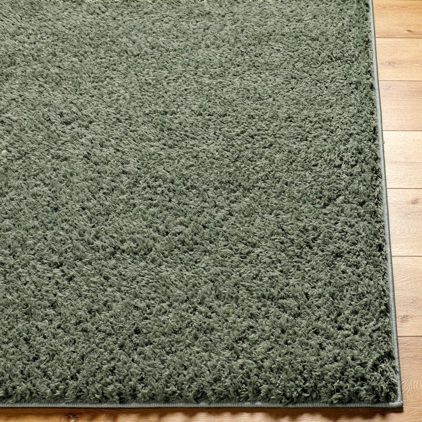 Tapis Shaggy Moderne Vert Dadu