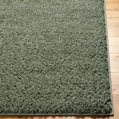 Tapis Shaggy Moderne Vert Dadu