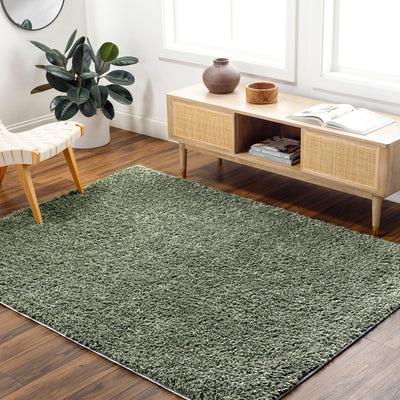 Tapis Shaggy Moderne Vert Dadu
