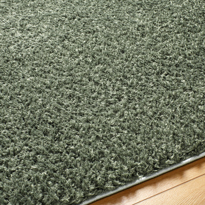 Tapis Shaggy Moderne Vert Dadu
