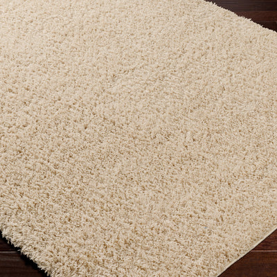 Tapis Shaggy Moderne Beige Dadu