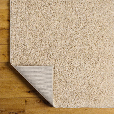 Tapis Shaggy Moderne Beige Dadu