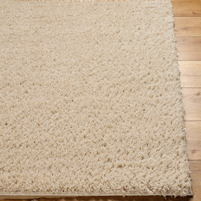 Tapis Shaggy Moderne Beige Dadu