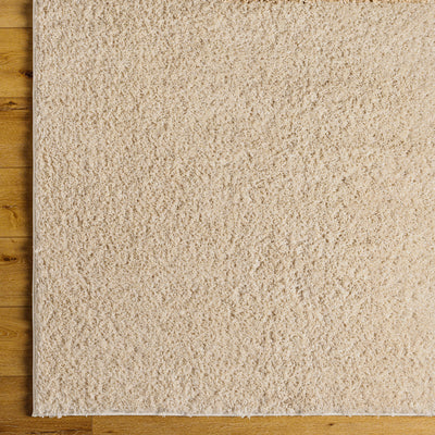 Tapis Shaggy Moderne Beige Dadu