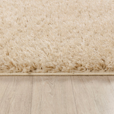 Tapis Shaggy Moderne Beige Dadu