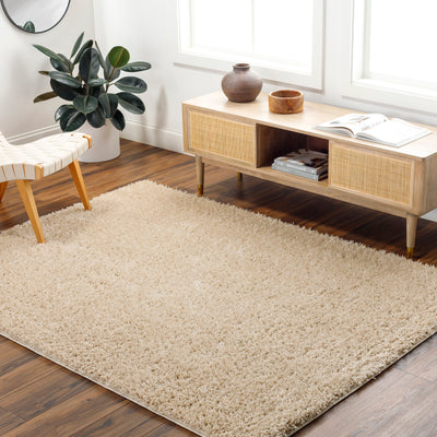 Tapis Shaggy Moderne Beige Dadu