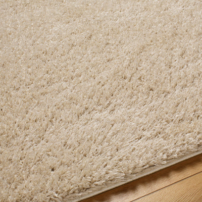 Tapis Shaggy Moderne Beige Dadu