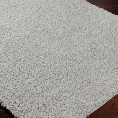 Tapis Shaggy Moderne Gris Clair Dadu