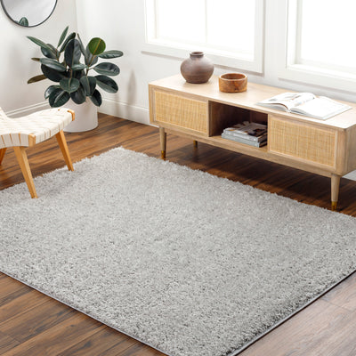 Tapis Shaggy Moderne Gris Clair Dadu