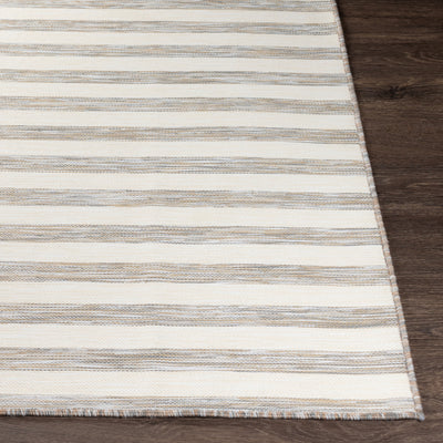 Tapis d'Extérieur/Intérieur Rayé Beige/Ivoire Hofu
