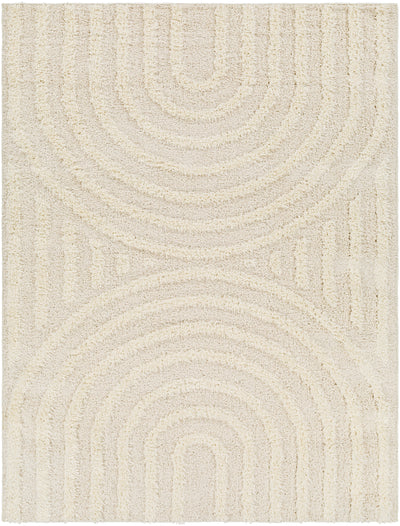 Tapis Shaggy Moderne Beige/Blanc