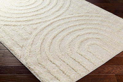 Tapis Shaggy Moderne Beige/Blanc