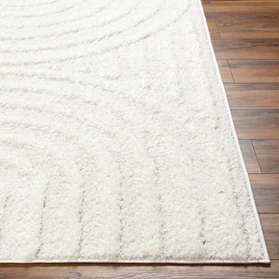 Tapis Shaggy Moderne Beige/Blanc