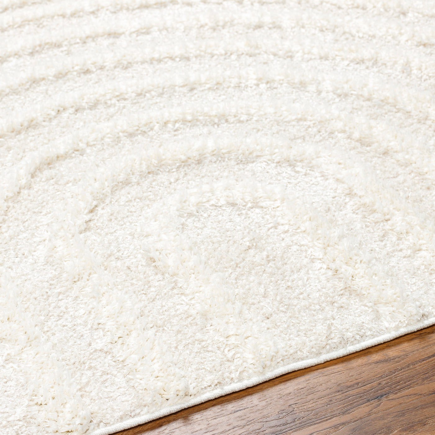 Tapis Shaggy Moderne Beige/Blanc