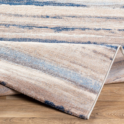 Tapis Scandinave Moderne Blanc/Gris/Bleu Dusel