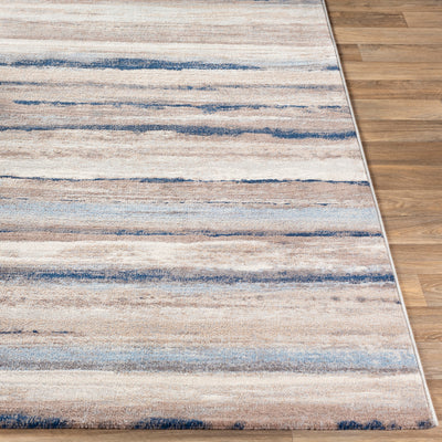 Tapis Scandinave Moderne Blanc/Gris/Bleu Dusel