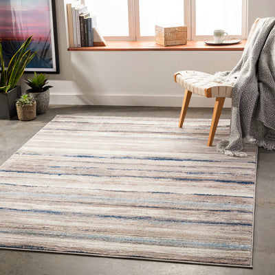 Tapis Scandinave Moderne Blanc/Gris/Bleu Dusel