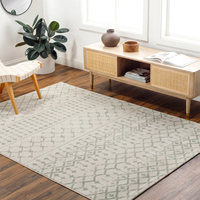 Tapis Berbère Ethnique Gris/Vert Iwata