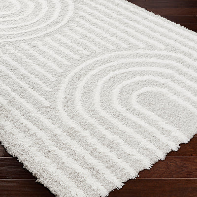 Tapis Shaggy Scandinave Blanc/Gris Sochi