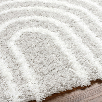Tapis Shaggy Scandinave Blanc/Gris Sochi